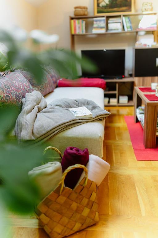 TV i/ili multimedijalni sistem u objektu Apartman Zamak Sombor