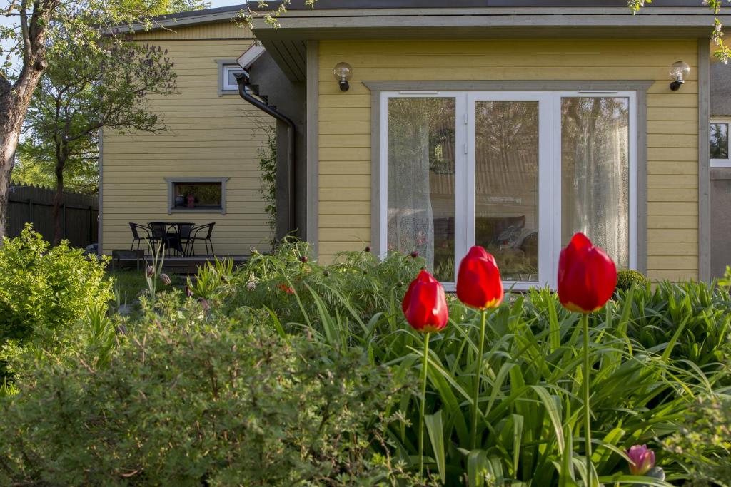 a house with red tulips in the yard at Kaevu Holiday House in Pärnu