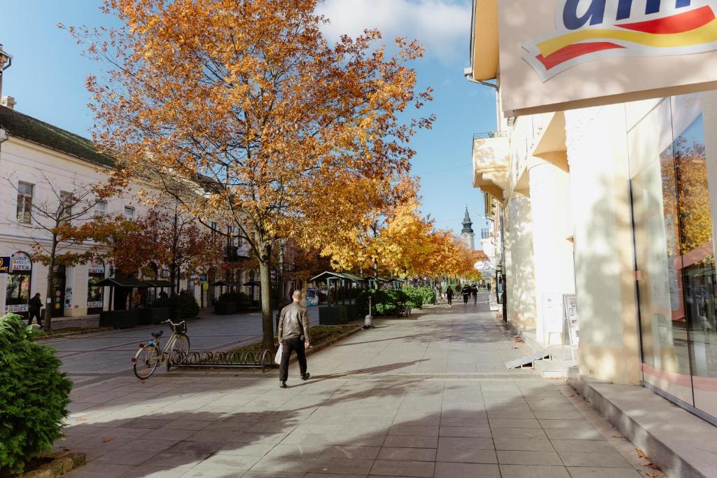 Okolina ili četvrt u blizini apartmana