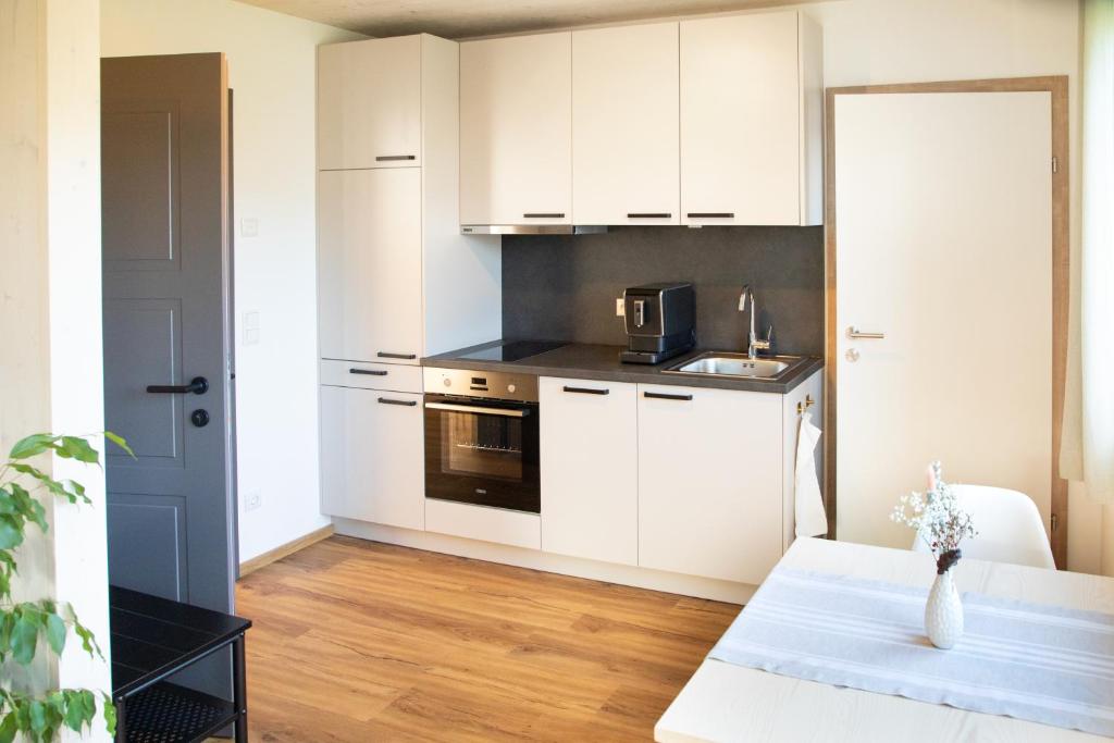 Kuchyň nebo kuchyňský kout v ubytování Moosaik Appartements