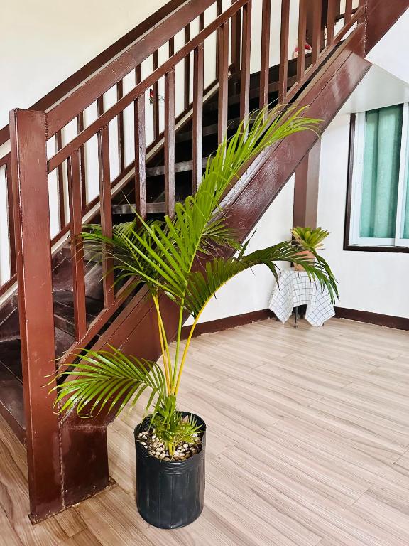 Fotografie z fotogalerie ubytování Amancio's v destinaci Puerto Princesa