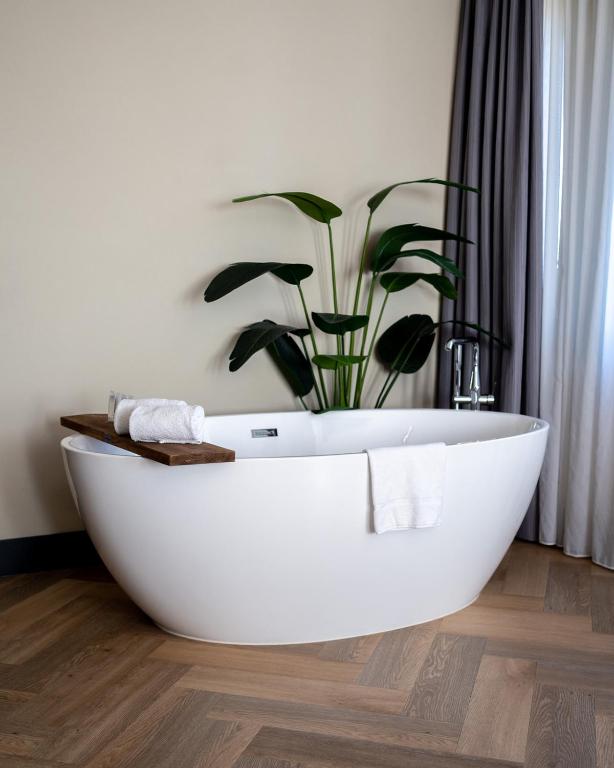 Hotel Alkmaar - Junior Suite