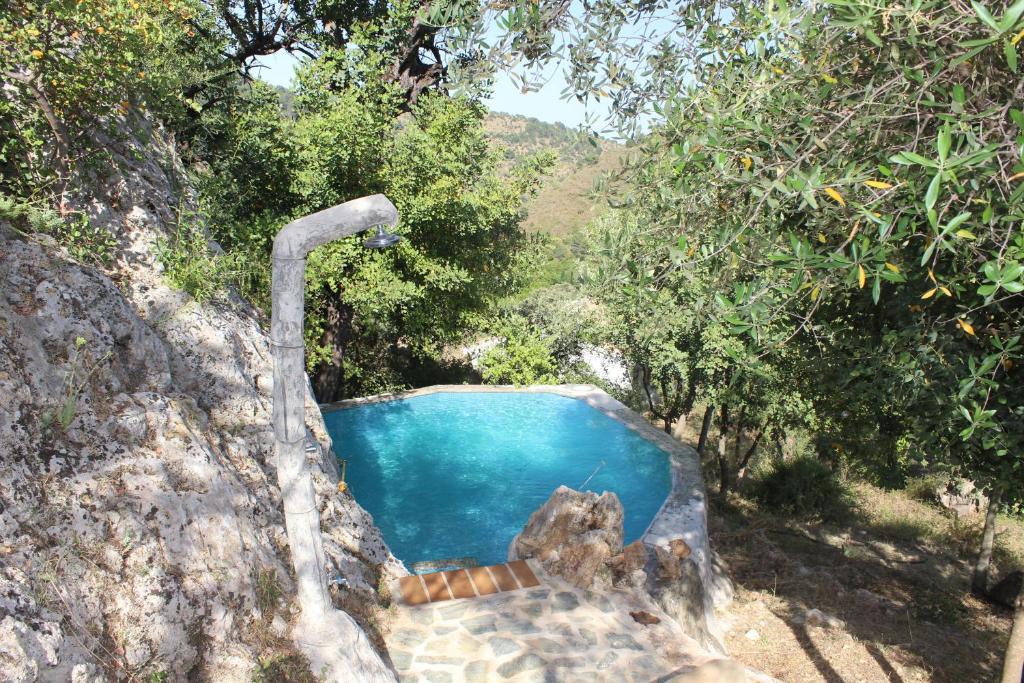 - une piscine avec douche dans une forêt dans l'établissement CASA ENCINA, à Tolox