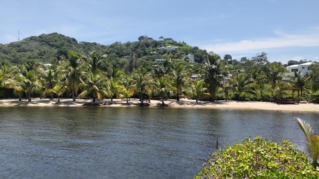 een strand met palmbomen en een berg bij Coral Views Village - uMaMi in French Harbor