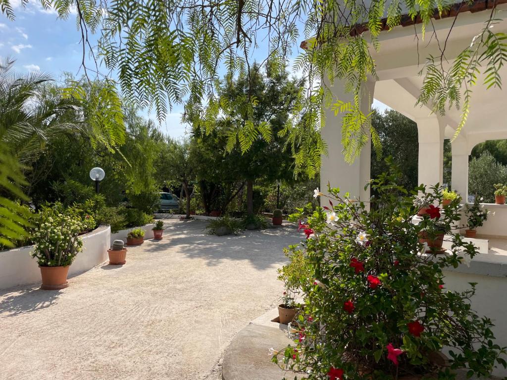 Zahrada ubytování Villa Gioia Ostuni