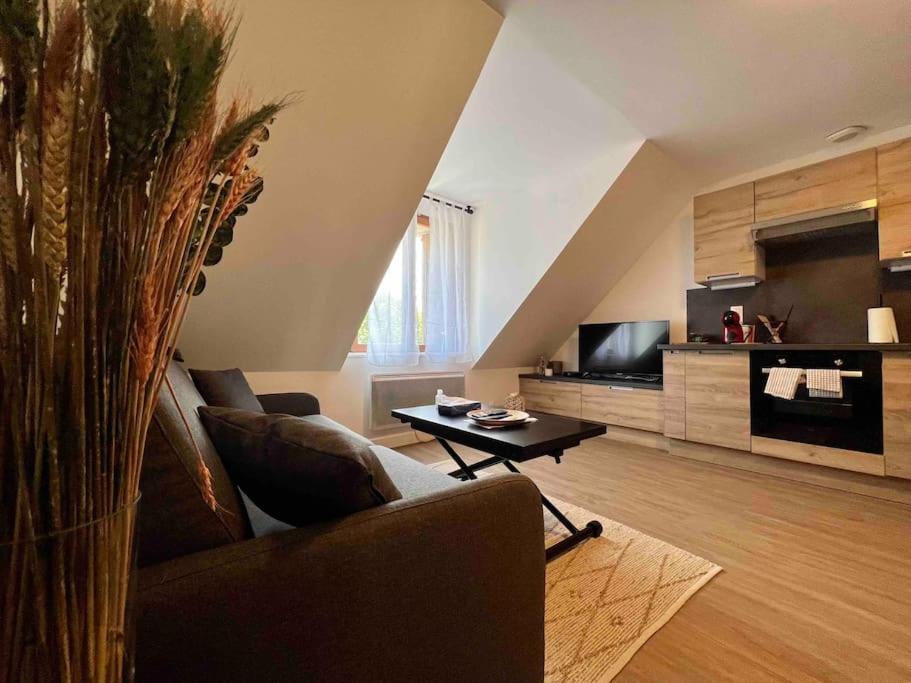 a living room with a couch and a tv at Appartement Centre-ville / 6 prsn / Bord du doubs / Au pied de la citadelle in Besançon