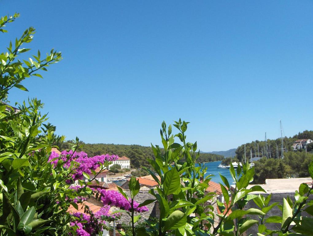 - une vue sur une étendue d'eau ornée de fleurs violettes dans l'établissement Guest House Roza, à Vrboska