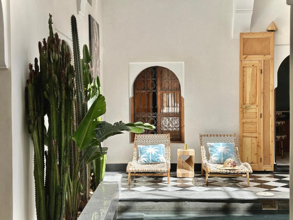 ein Wohnzimmer mit 2 Stühlen und einem Kaktus in der Unterkunft Riad LallaBaya in Marrakesch