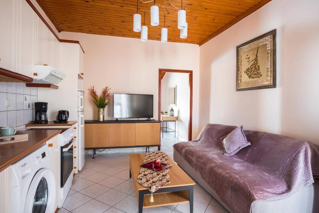 salon z kanapą i kuchnią w obiekcie Cozy loft apartment w mieście Samos