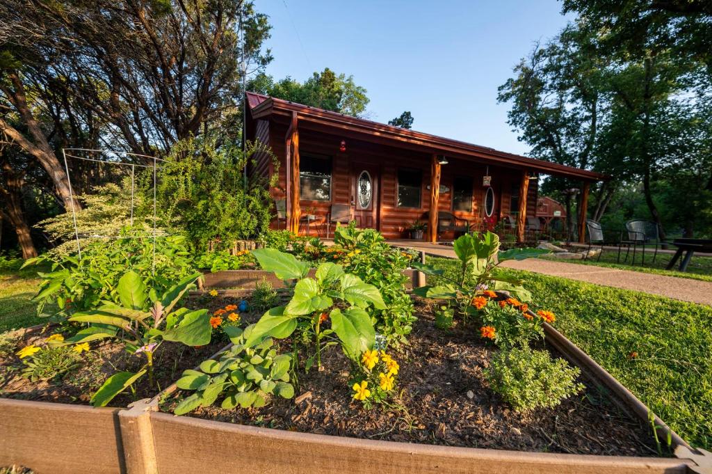 Pet Friendly Cabin 4 - 15 minutes from Magnolia and Baylor