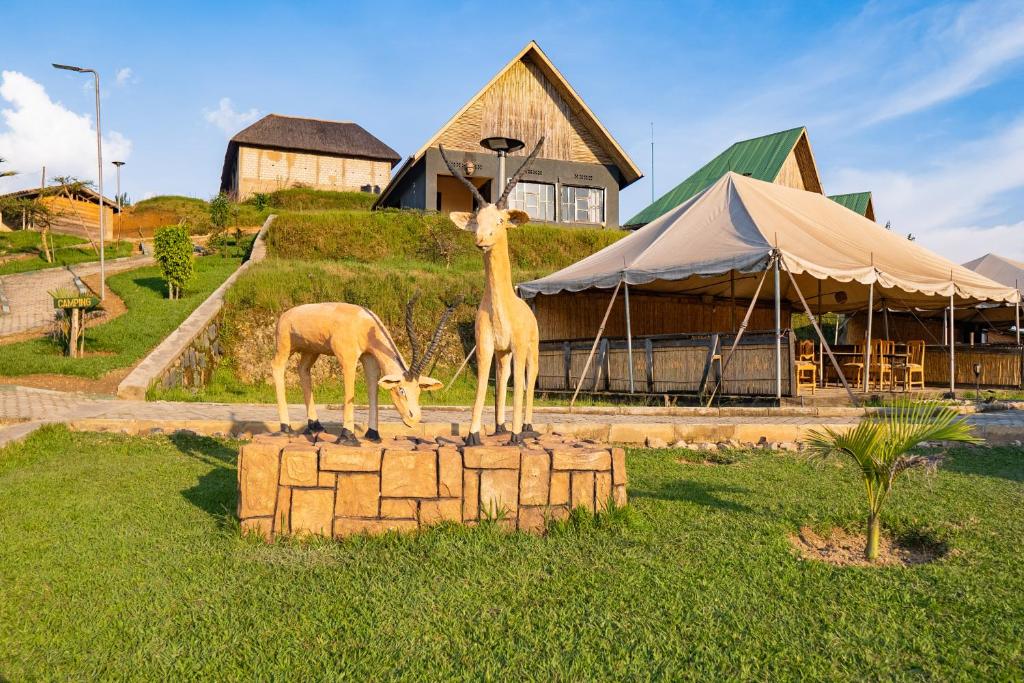 Hotelangebot Nyungwe Nziza Ecolodge