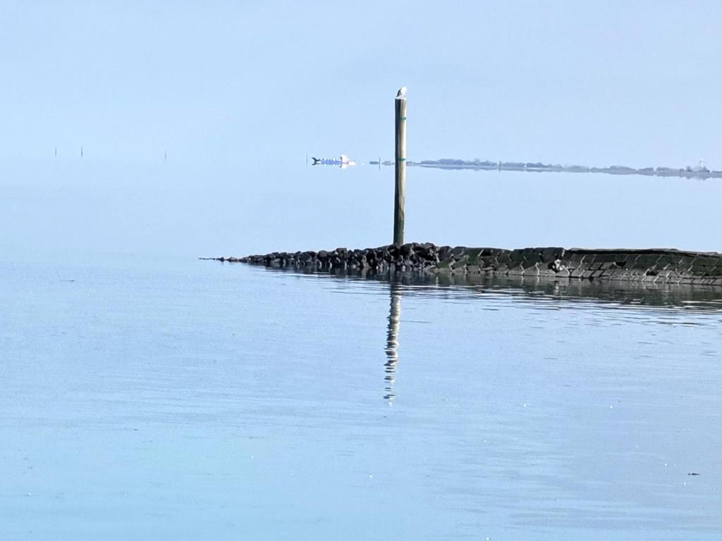 un grupo de aves de pie en un muelle en el agua en Ferienwohnung Nordsee Gulfhof Dornum - mit großem Garten, en Roggenstede