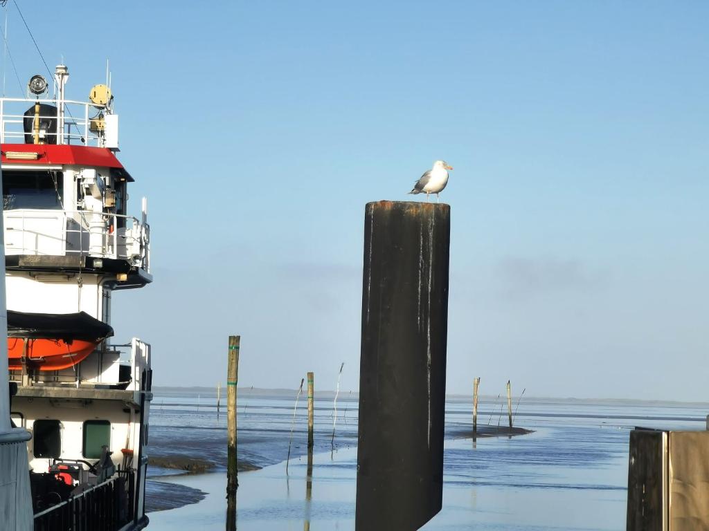 a bird sitting on a pole next to a boat at Ferienwohnung 1 Nordsee Gulfhof Dornum - mit großem Garten in Roggenstede
