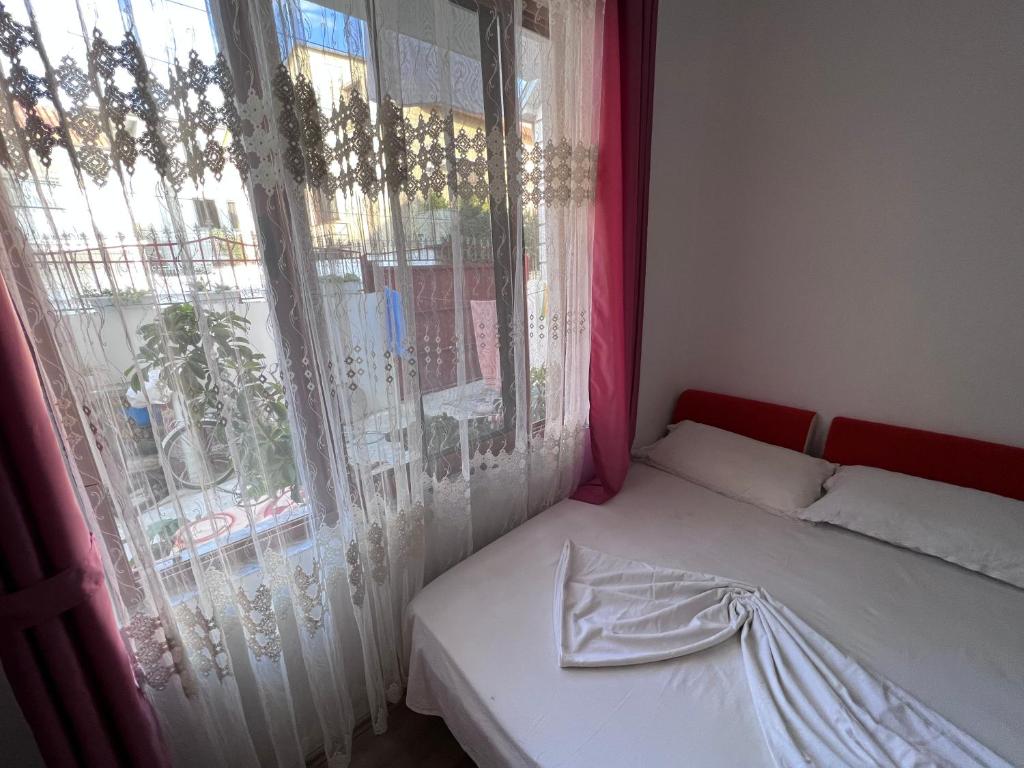 David Guesthouse - Image 9