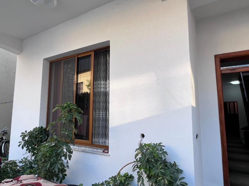 David Guesthouse - Image 6