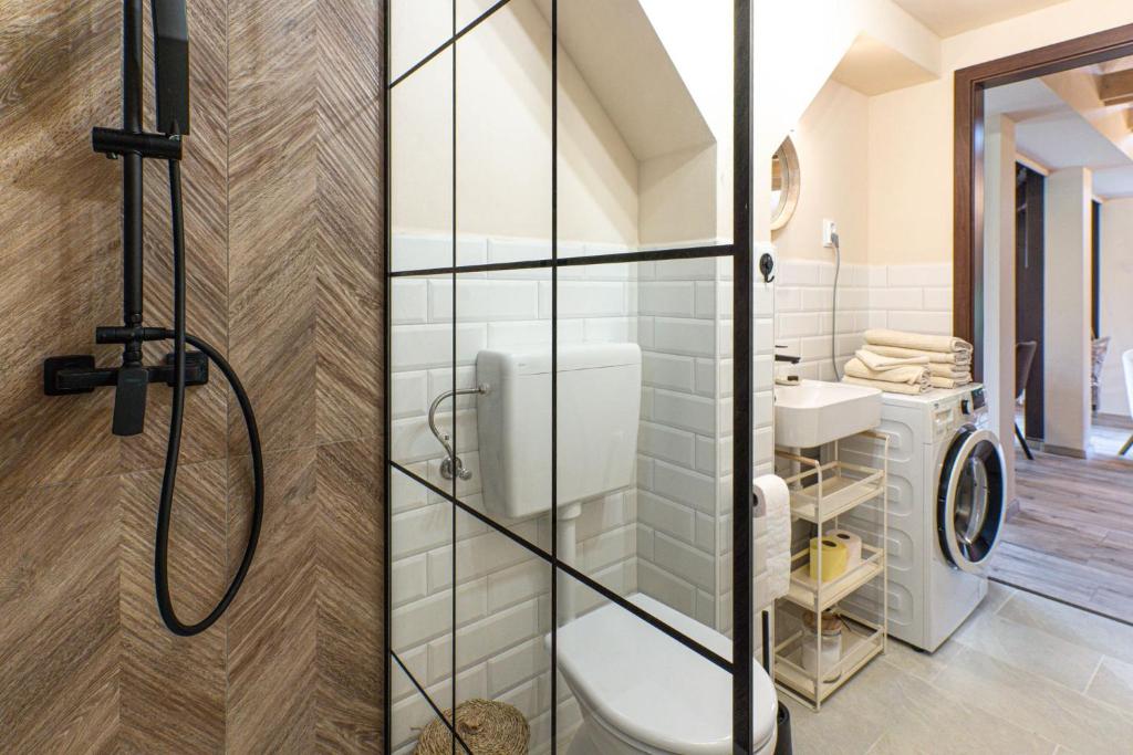 鮑道喬尼特爾代米茨的住宿－HeLo Bungalow，带淋浴、卫生间和盥洗盆的浴室