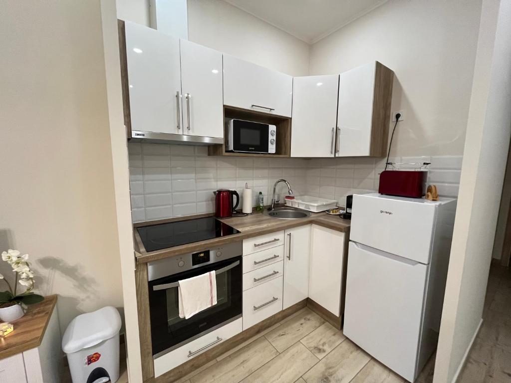 Kuchnia lub aneks kuchenny w obiekcie Vörösmarty apartmanház