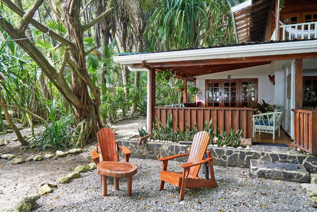 Zahrada ubytování Hotel Tropico Latino