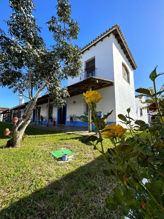 a view of the house from the yard at Casa La Retama - Pequeño Rocio in El Rocío