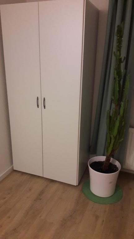 een plant in een pot naast een witte kast bij Familie Vietzke in Hannover