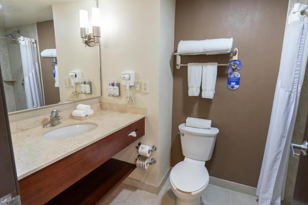 Holiday Inn Express Guadalajara Aeropuerto, an IHG Hotel - Standard King Room - Accesso Alla Disabilità