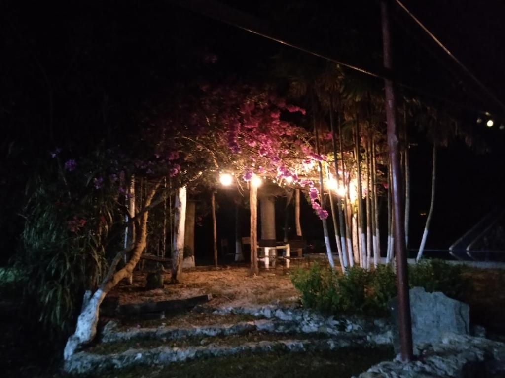 a garden at night with pink flowers and lights at Posada Barahona in Izamal