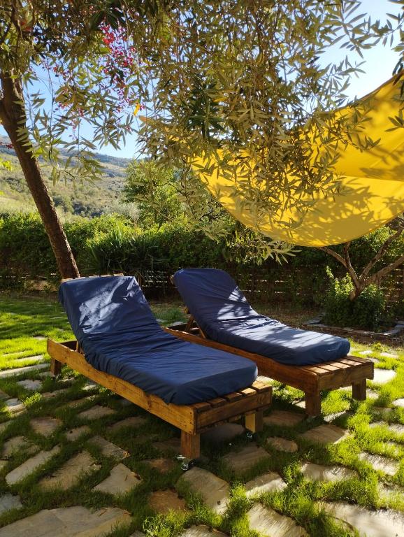 Ogród w obiekcie Hotel Finca Aldabra