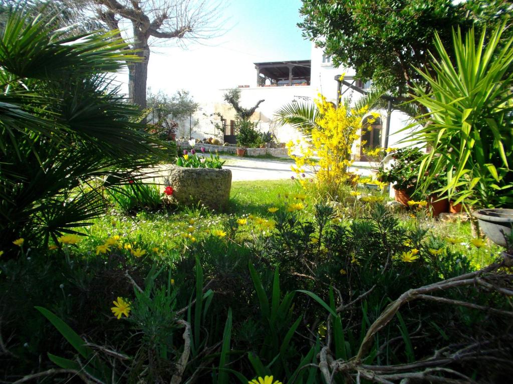 La Piccola Corte - 18