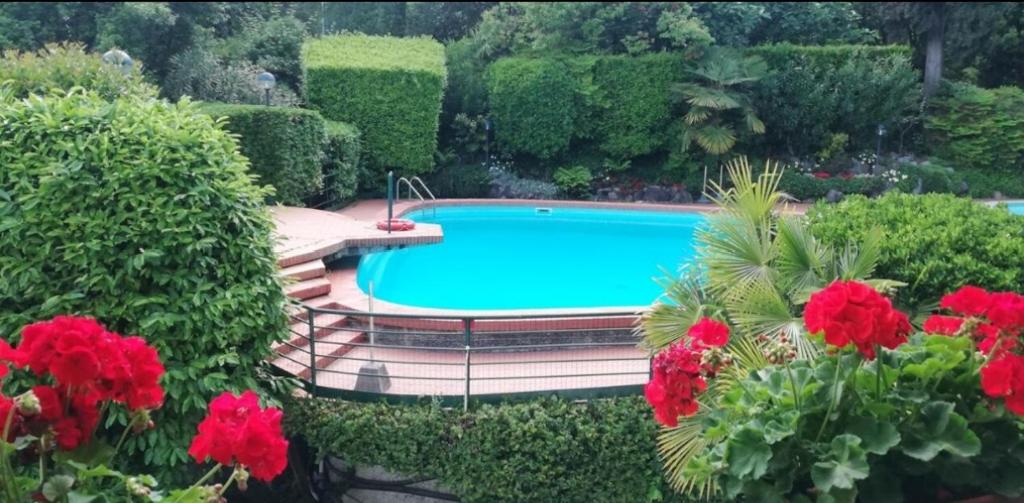 une piscine dans un jardin avec des fleurs rouges dans l'établissement Residence Villa Alba room nr 415, à Gardone Riviera