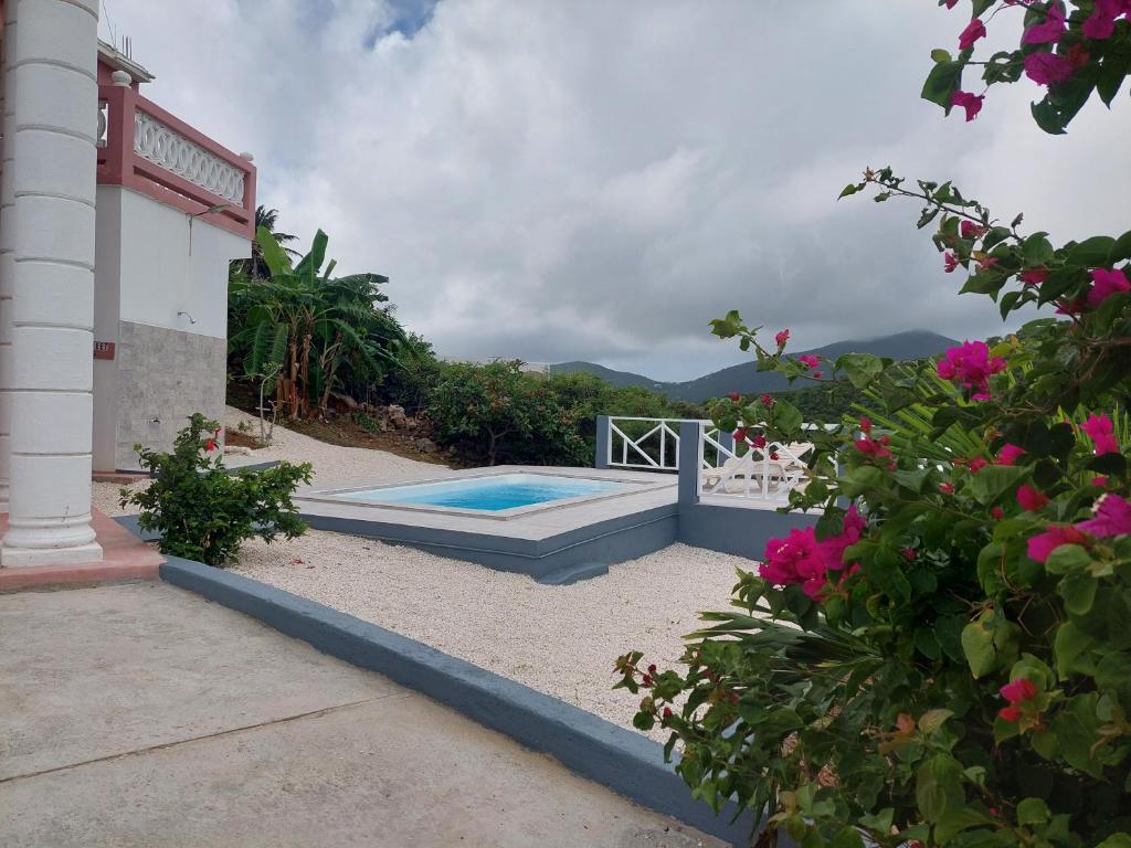 a house with a swimming pool in the yard at Sea-Renity in Philipsburg