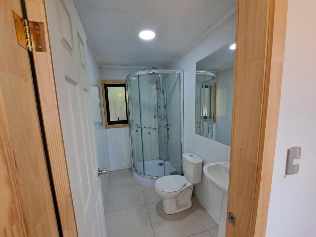 a bathroom with a shower and a toilet and a sink at Altos de Llicaldad Lodge in Castro