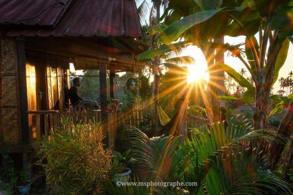 a sun shining through a house with plants at Kurni's Cabin in Sapit