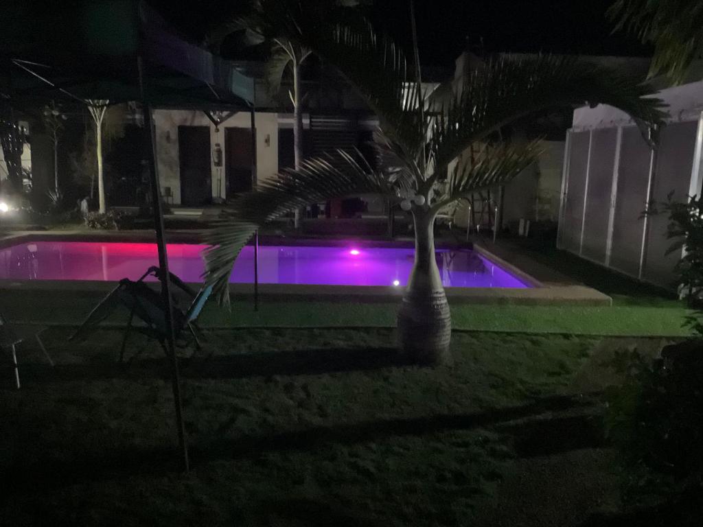 a palm tree in front of a swimming pool at night at Kubo A M&K's Guesthouse in Dauis