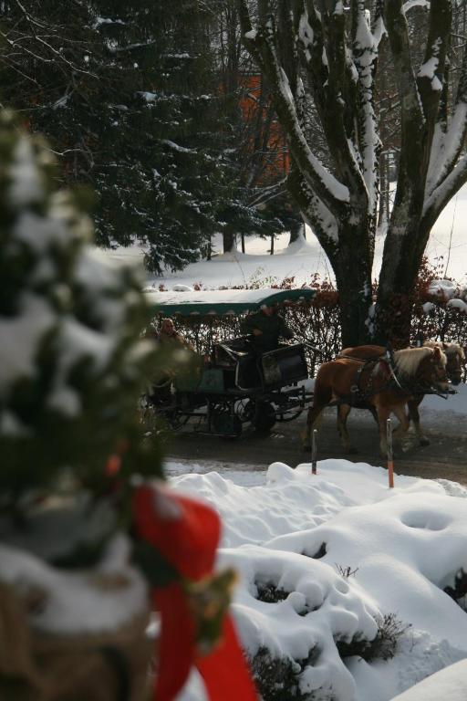 Pension Wolfgangsee v zimě