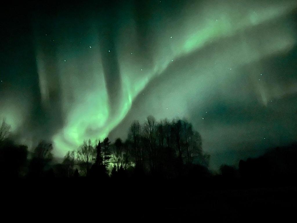 an aurora in the sky with trees in the foreground at Kalix Riverside inn in Kalix