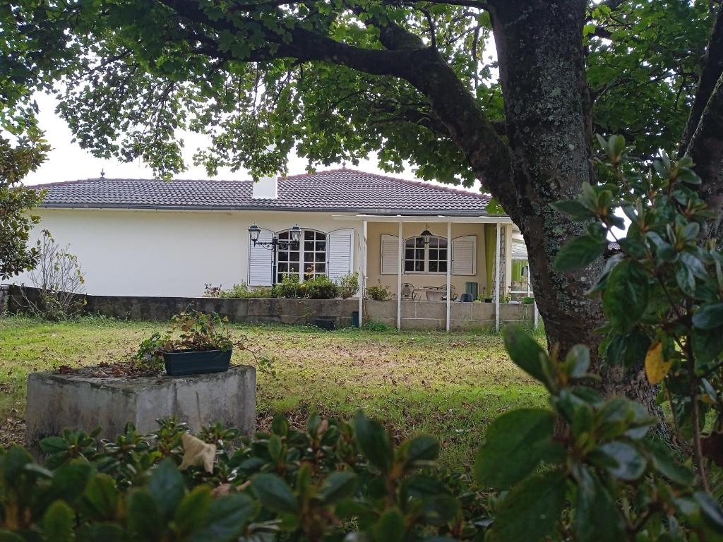 uma casa com uma árvore em frente em La maison d'Abelleira em Puenteareas
