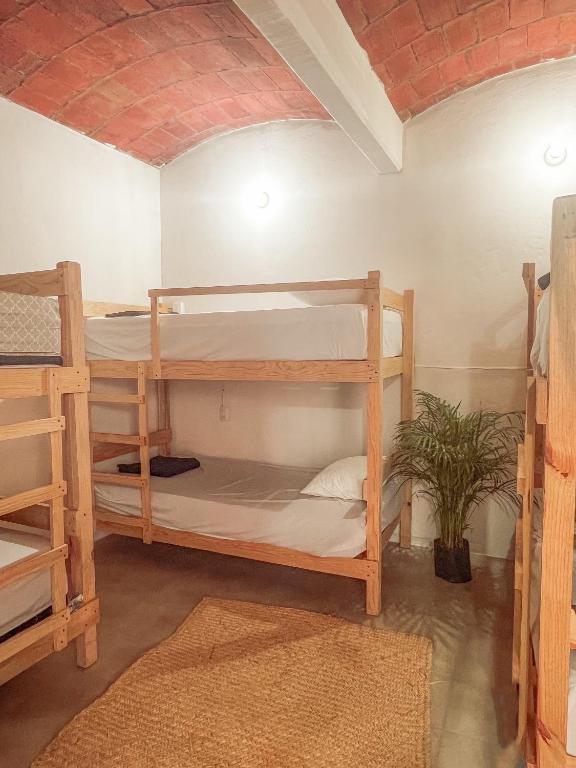 Hostel Casa Maguey - Cama En Habitación Compartida De 6 Camas