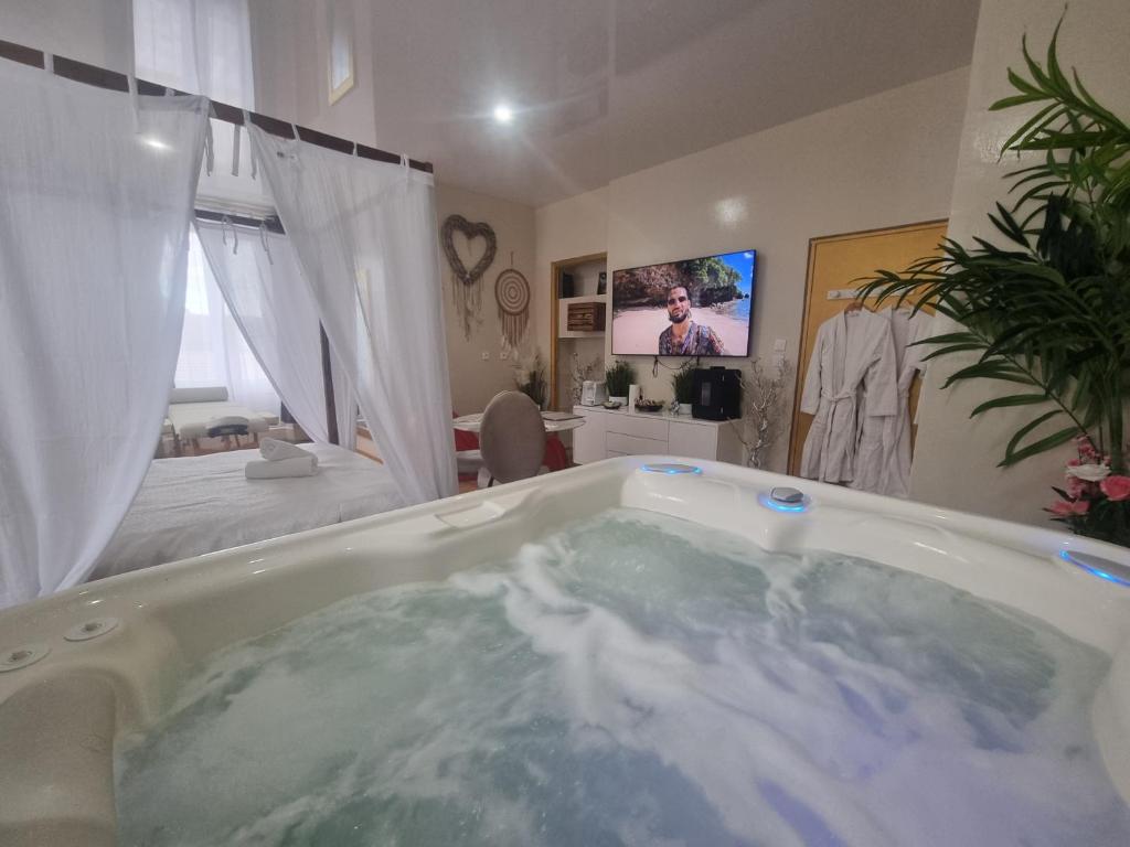 een bad in een kamer met een tv bij Les Spa de Venus suites avec jacuzzi spa privatif in Charavines