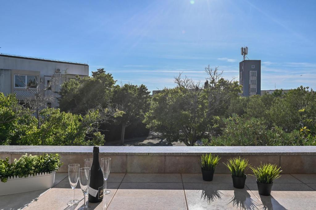 a bottle of wine sitting on a wall with plants at Apartment Adela II in Novalja