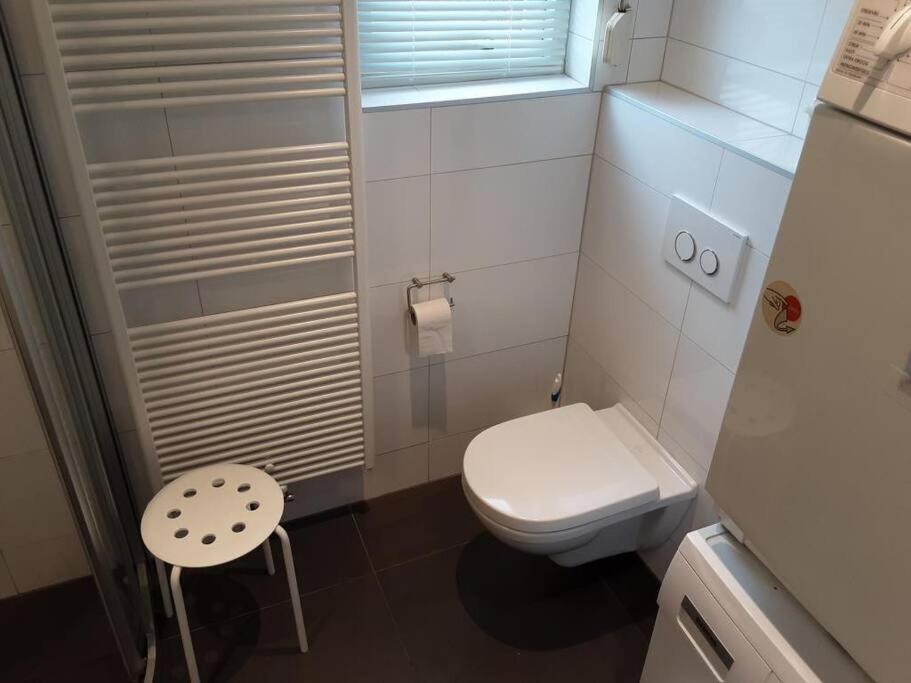 een kleine badkamer met een toilet en een kruk bij Heggerank 5B* in Nieuwvliet