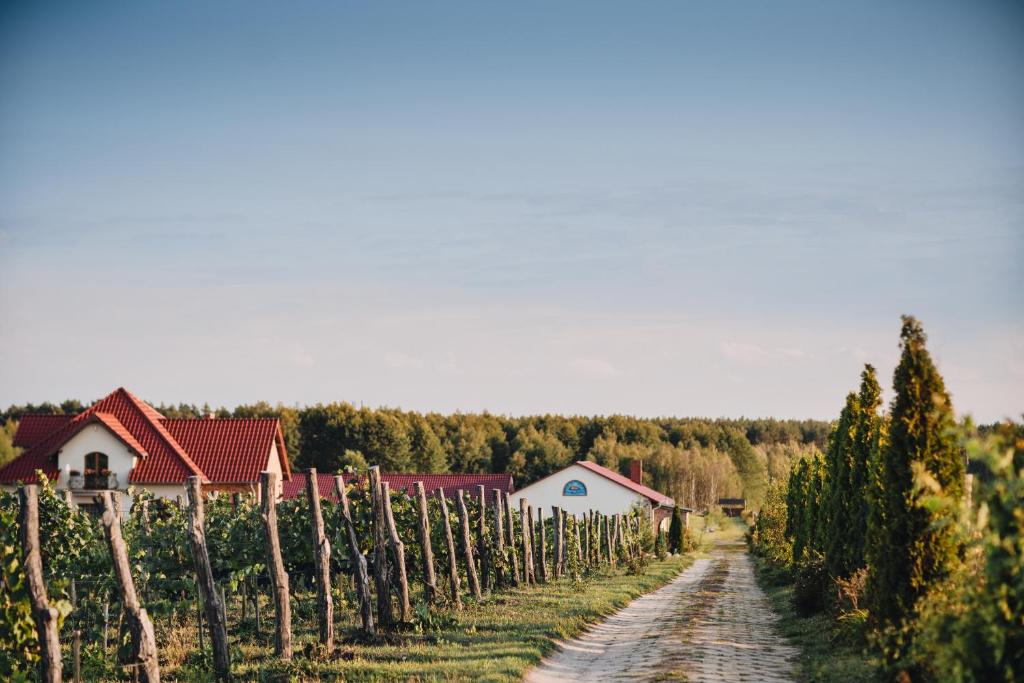 a road through a vineyard with houses and trees at Winnica Mozów 