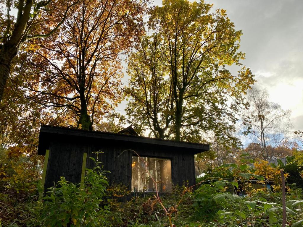 a small black house in the middle of trees at Kabana - eco forest suite in Wingene
