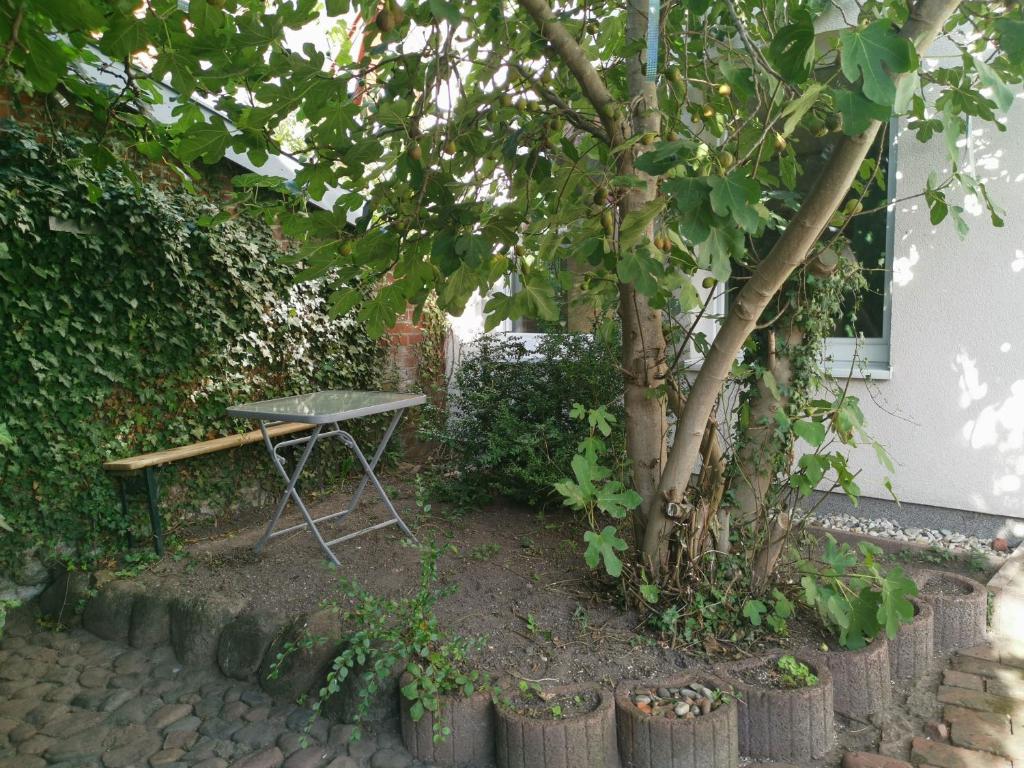 Zahrada ubytování Haus am Hafen