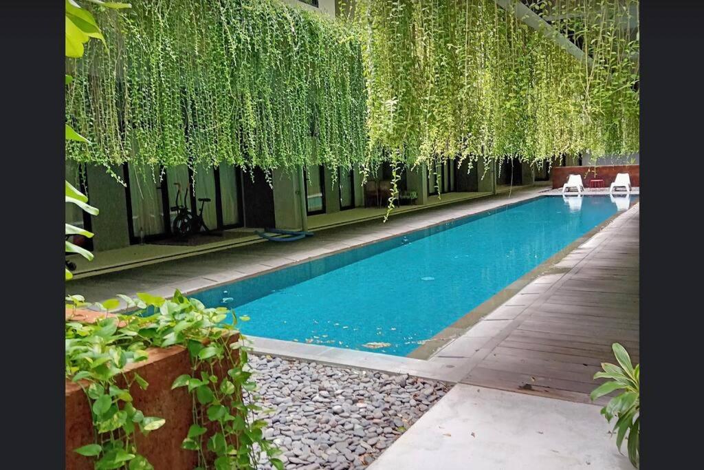 a swimming pool in a garden with a hanging tree at Studio4 in the heart of the city in Denpasar