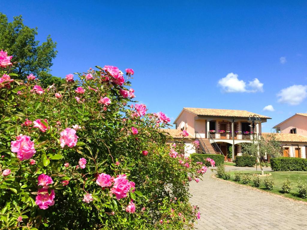 uma casa com rosas cor-de-rosa à frente. em Residence surrounded by greenery with swimming pool in Sorano em Sorano