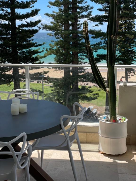 um cacto num vaso ao lado de uma mesa na varanda em Shared Beachfront Living em Sydney