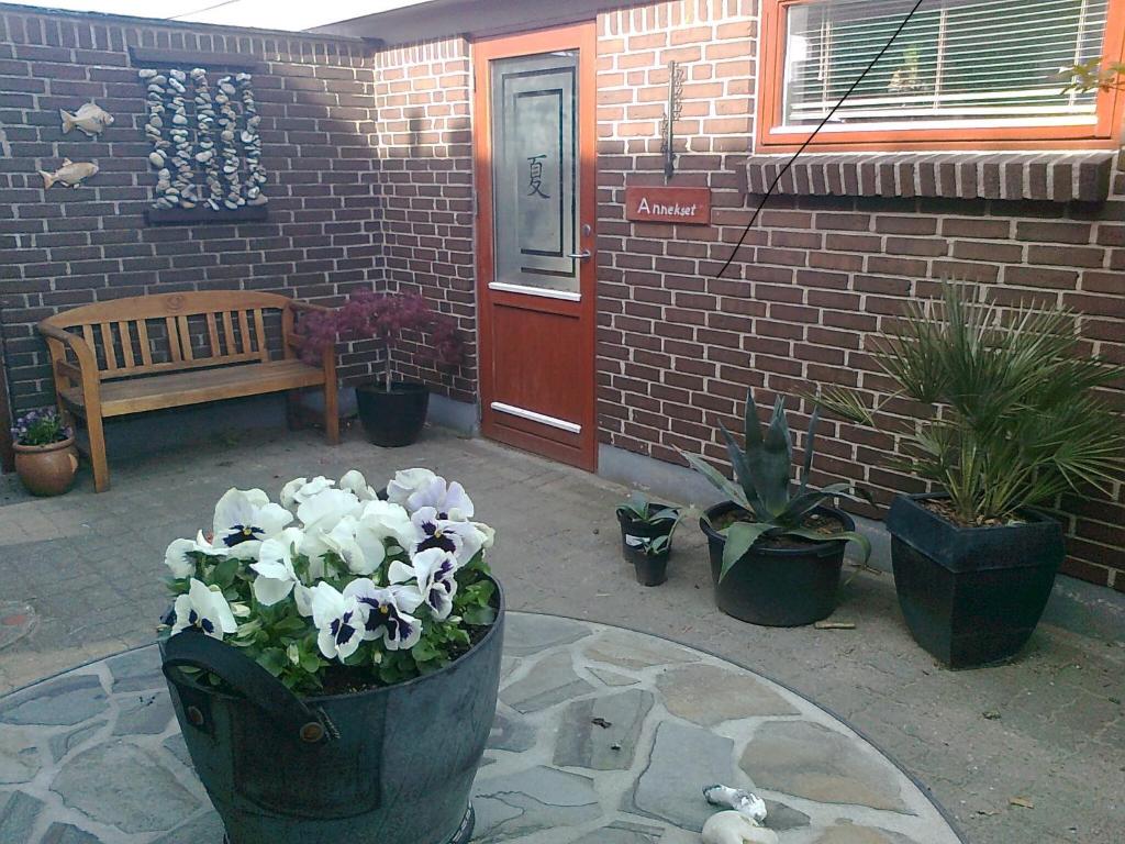 Un patio con plantas en macetas frente a un edificio. en Anneks Bågøvej, en Skagen
