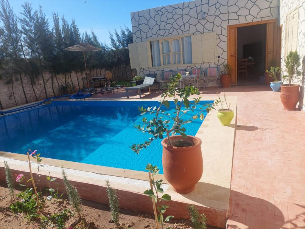 a swimming pool with a potted plant next to a house at Villa ahlam in Essaouira