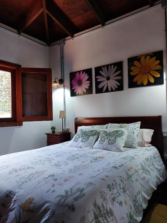 Fotografie z fotogalerie ubytování Casa Rural Doña Herminda v destinaci La Matanza de Acentejo