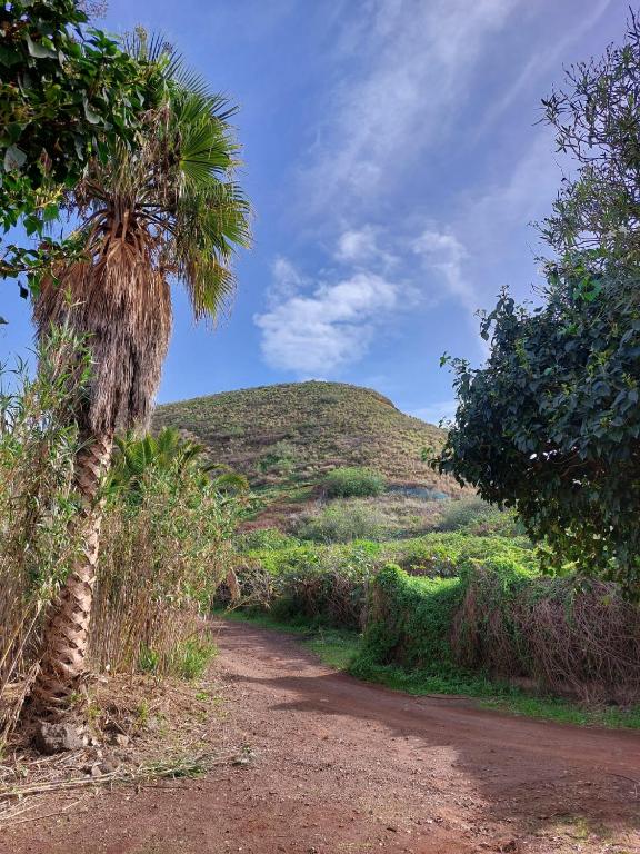 Fotografie z fotogalerie ubytování Casa Rural Doña Herminda v destinaci La Matanza de Acentejo